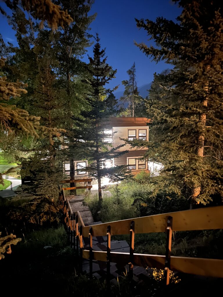 Under dark blue skies, a wooden staircase leads down through trees to a lit up building.